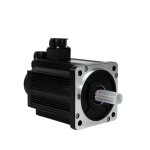 electric servo motor (1)